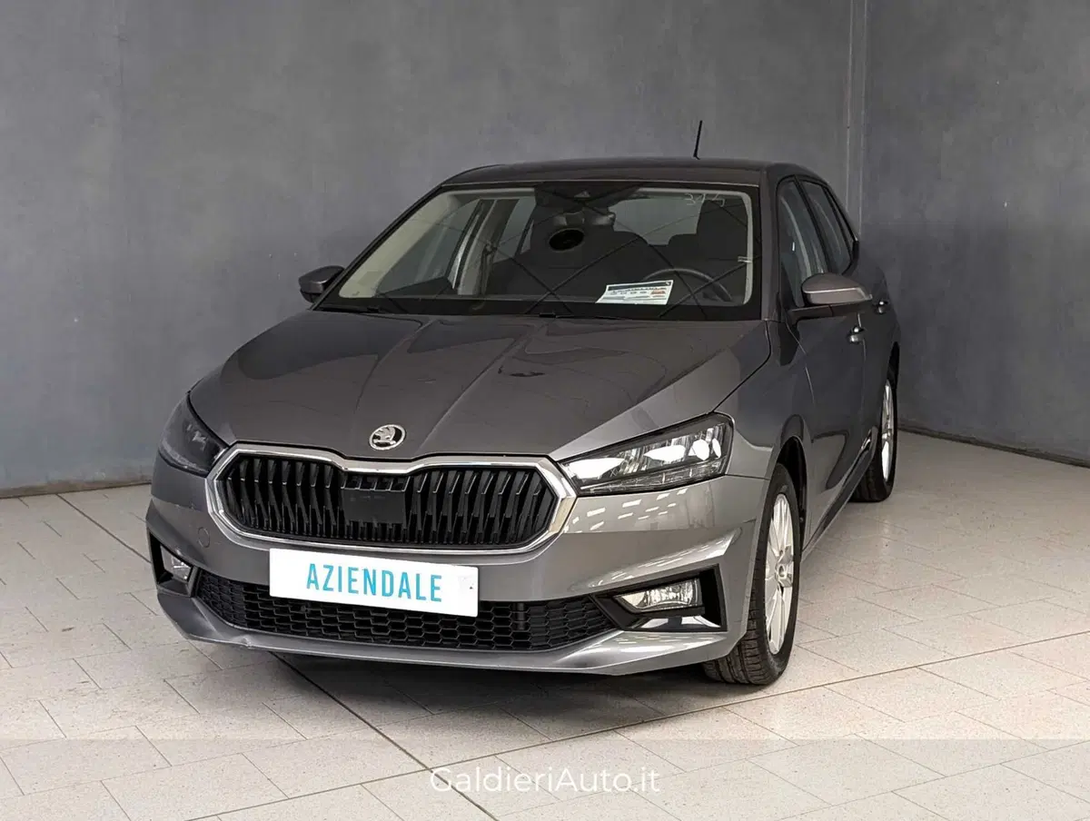 Skoda Fabia usata a Salerno