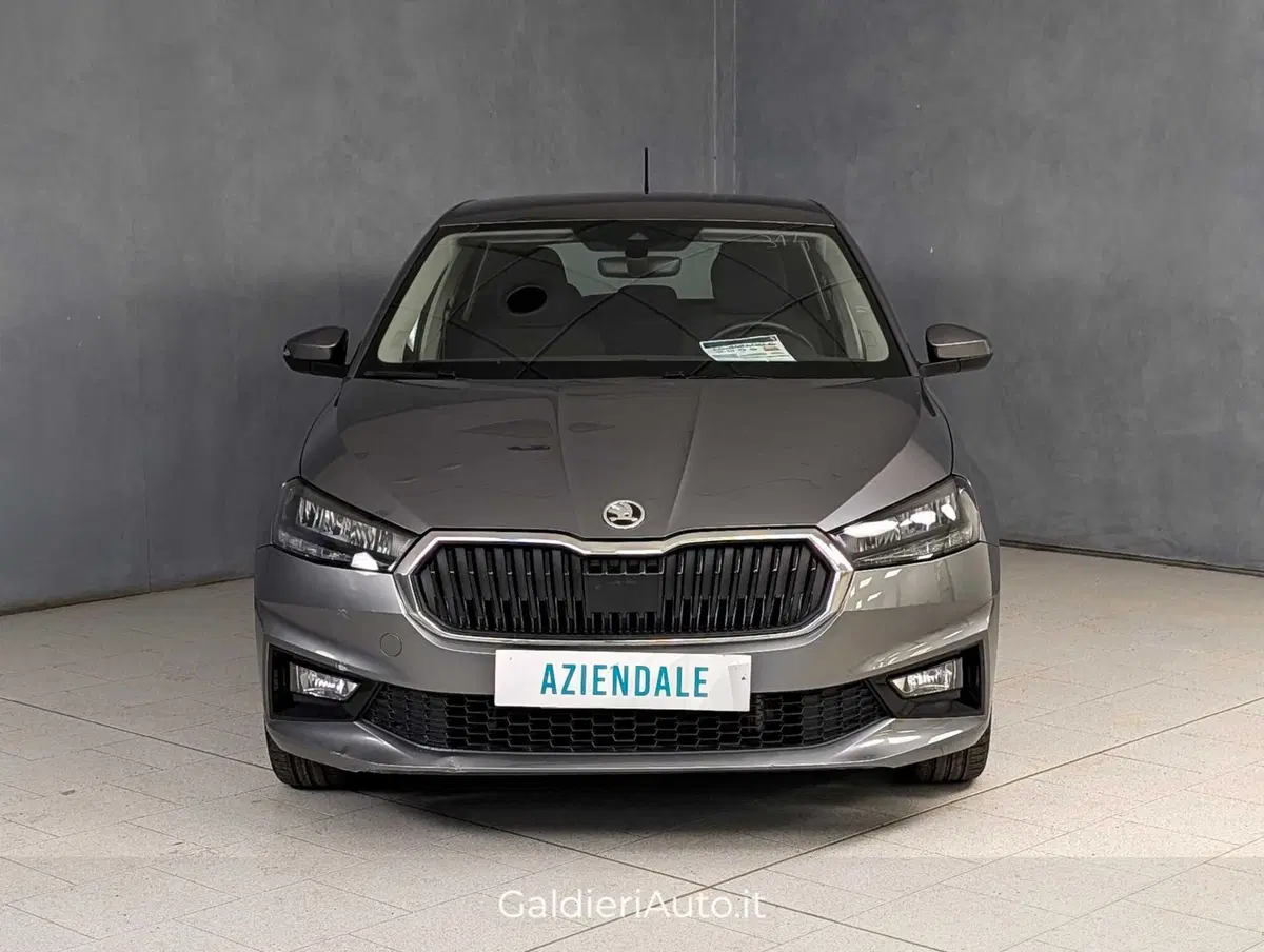Skoda Fabia usata a Salerno (2)