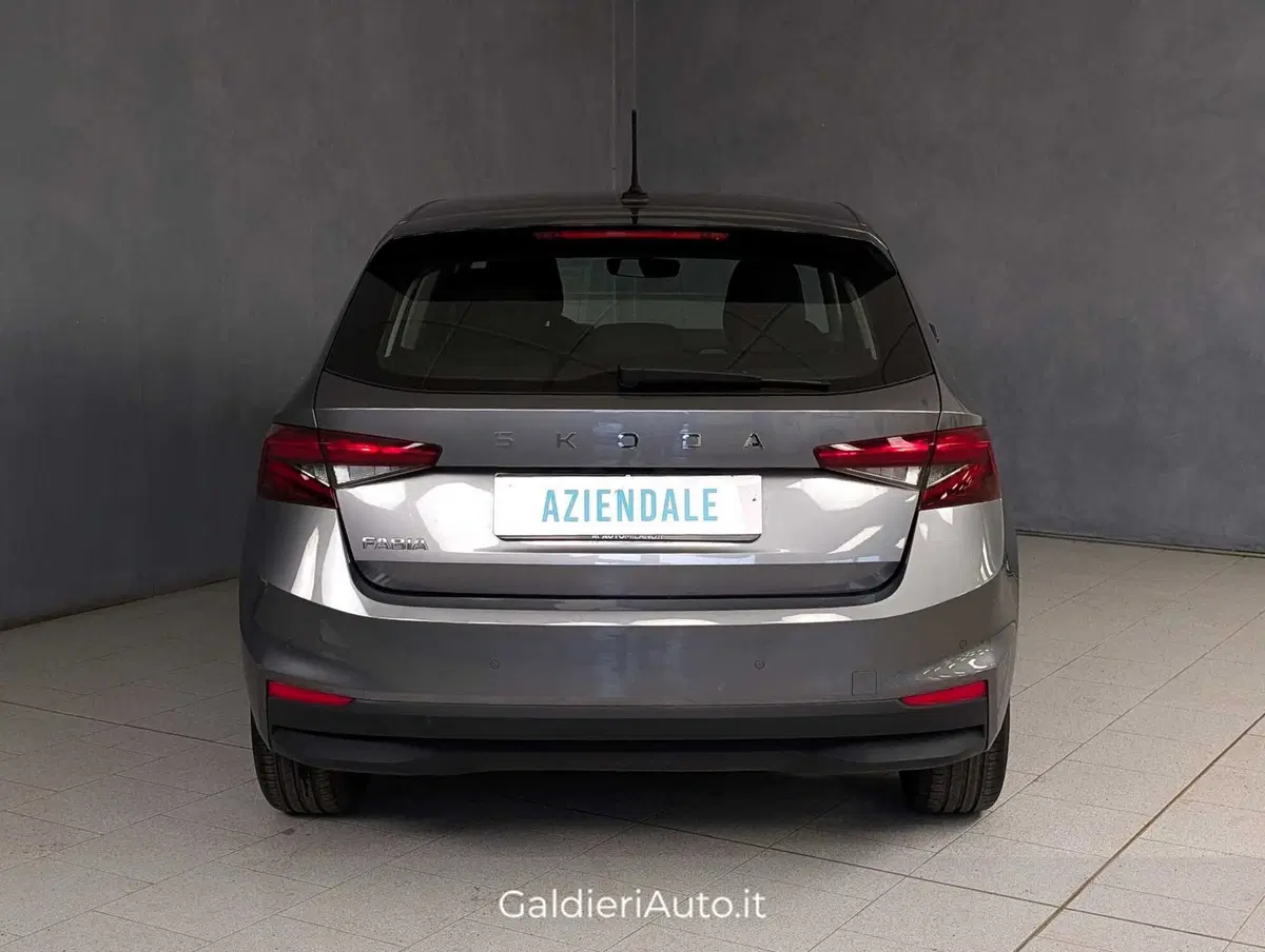 Skoda Fabia usata a Salerno (3)