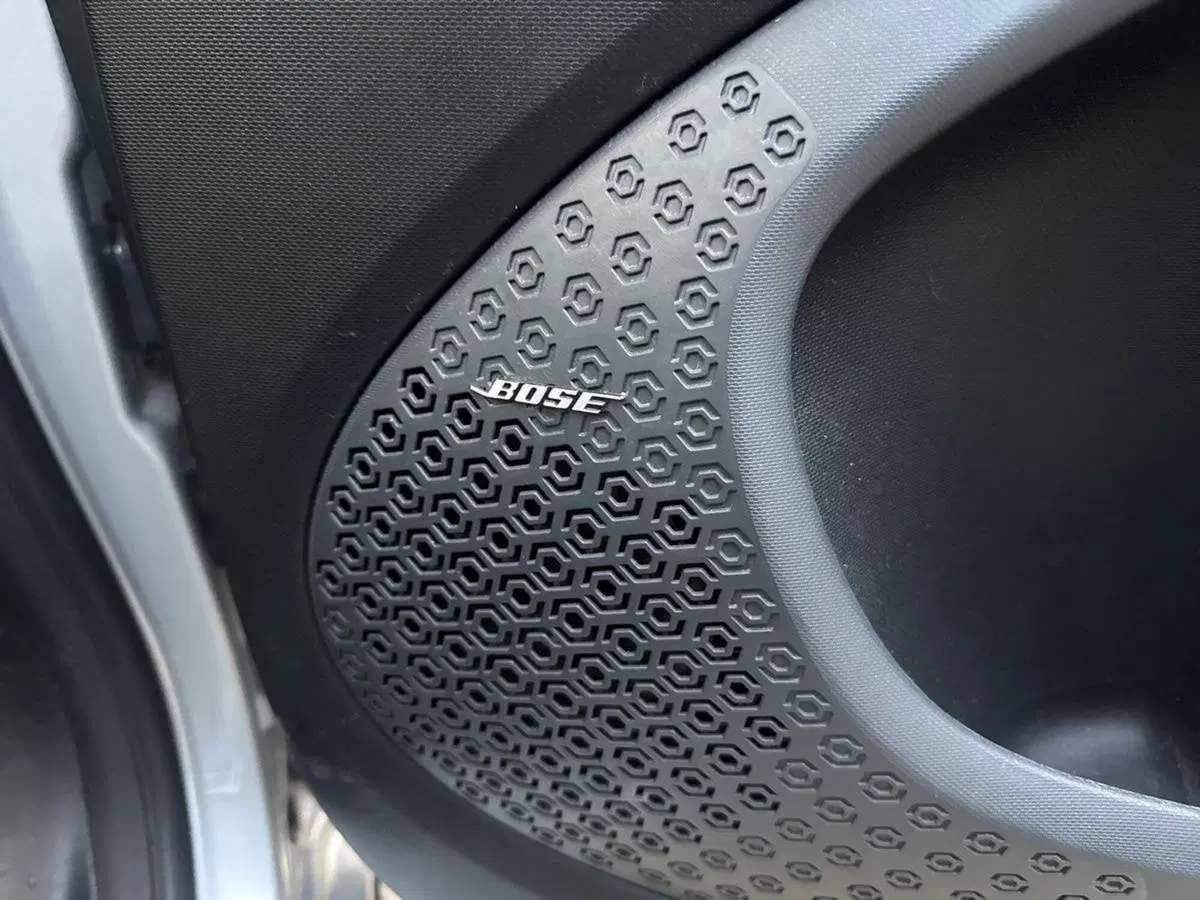 smart Fortwo usata a Firenze (18)