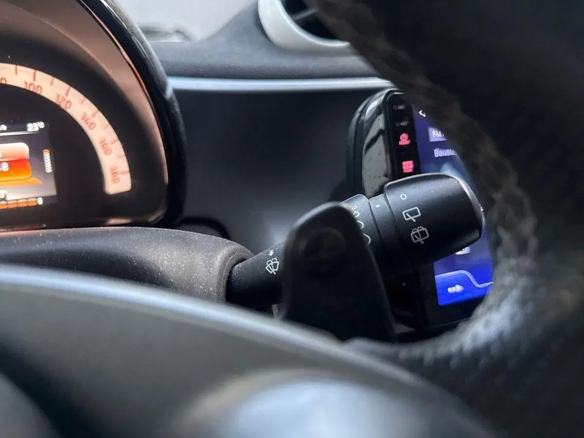 smart Fortwo usata a Firenze (20)