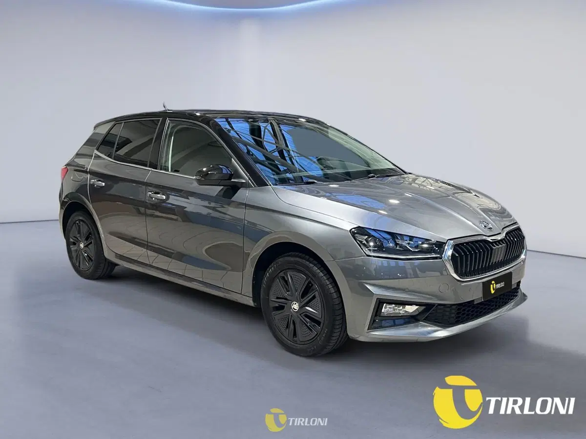Skoda Fabia usata a Milano