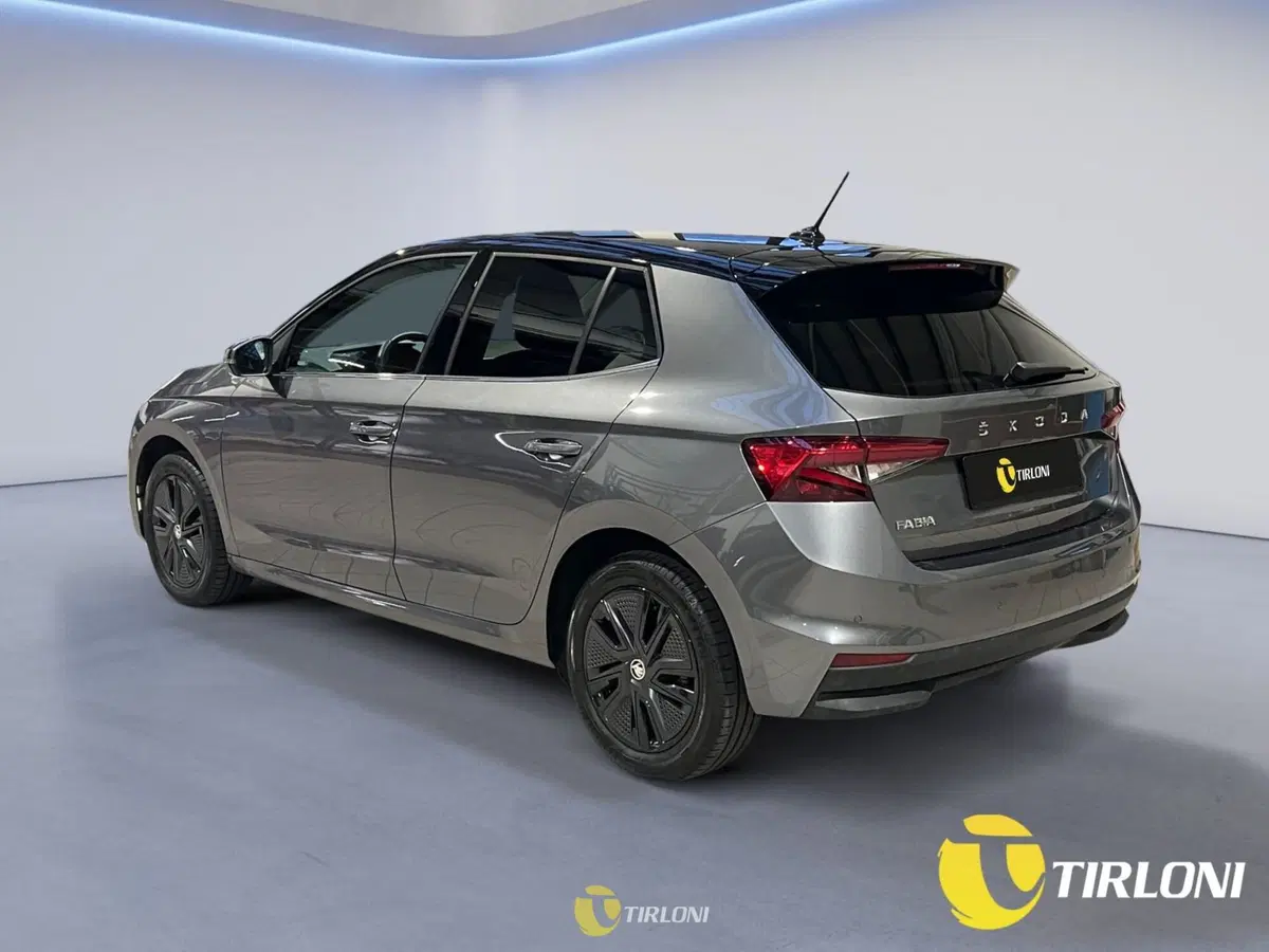 Skoda Fabia usata a Milano (2)