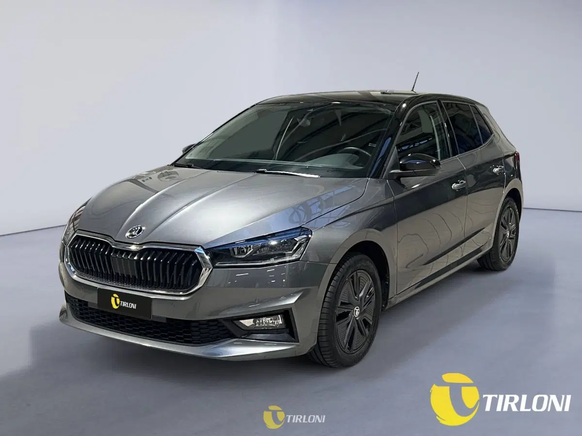 Skoda Fabia usata a Milano (3)