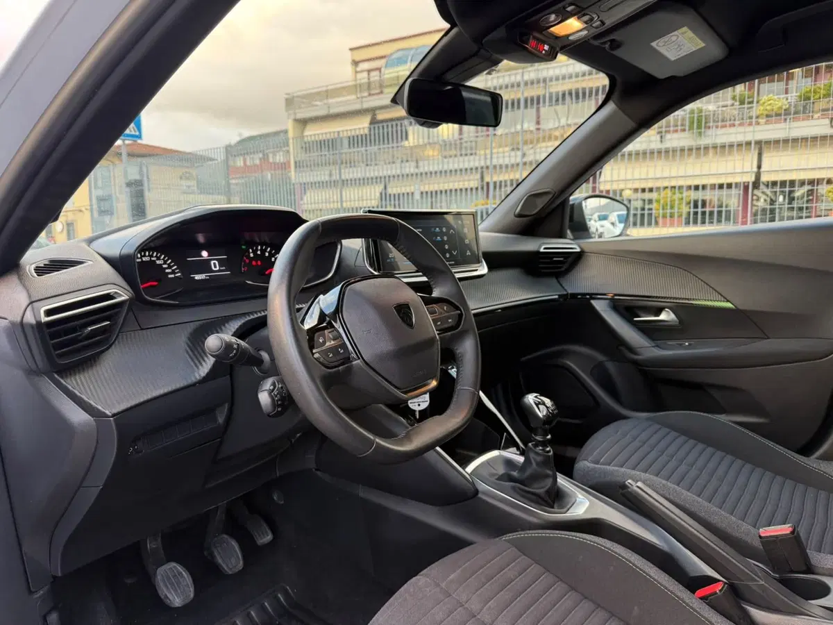 Peugeot 2008 usata a Massa-Carrara (15)