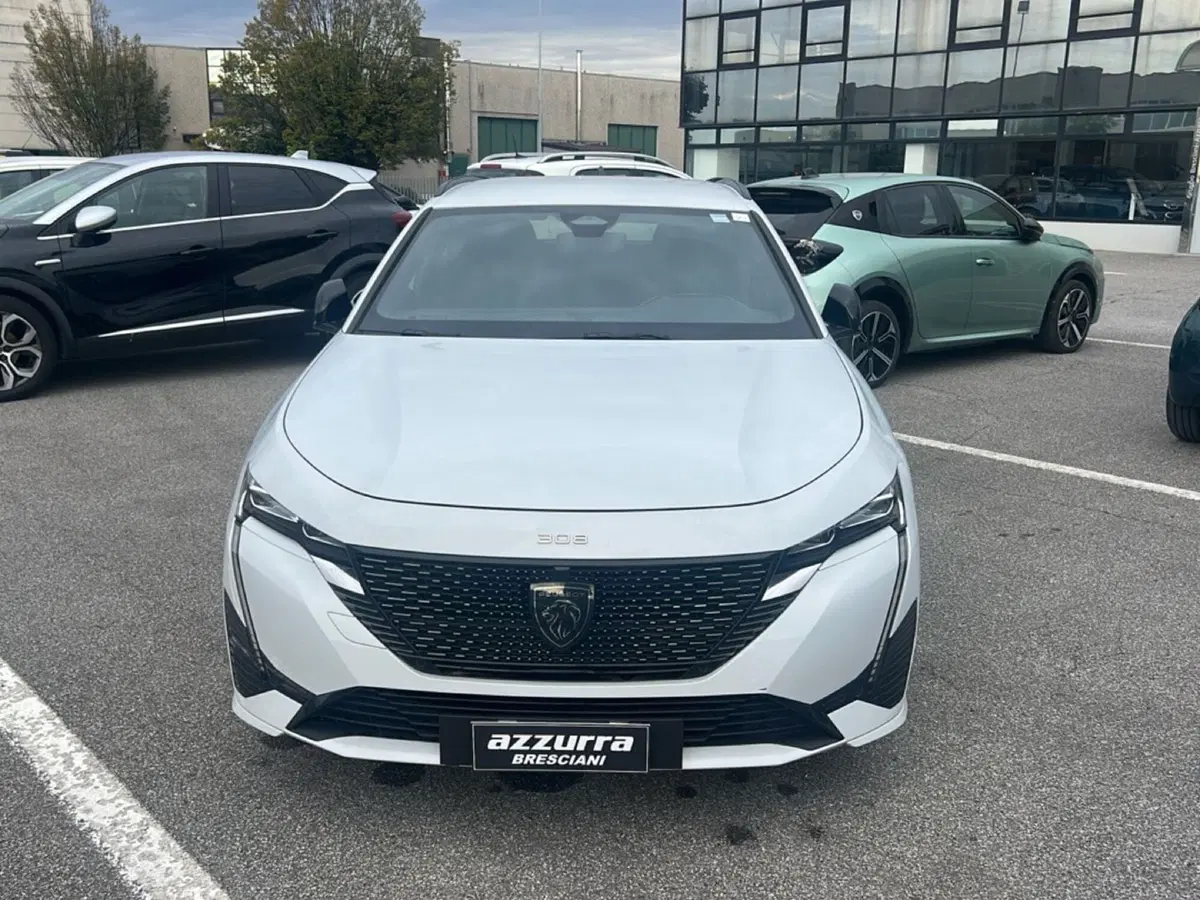 Peugeot 308 SW usata a Bergamo (3)