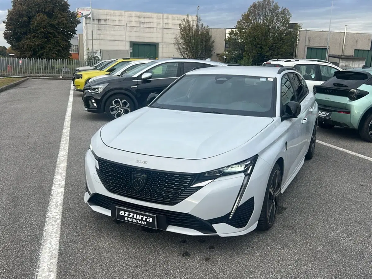 Peugeot 308 SW usata a Bergamo (8)