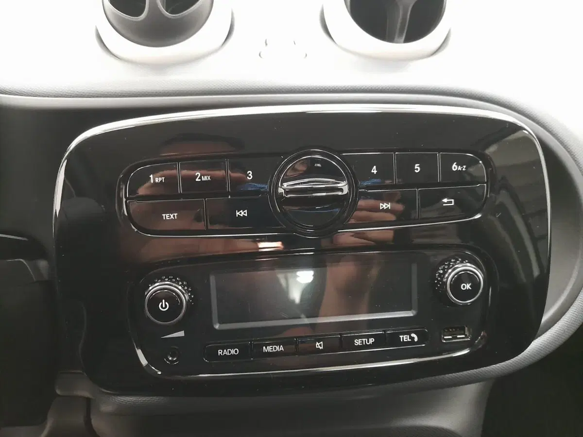 smart forfour usata a Alessandria (10)
