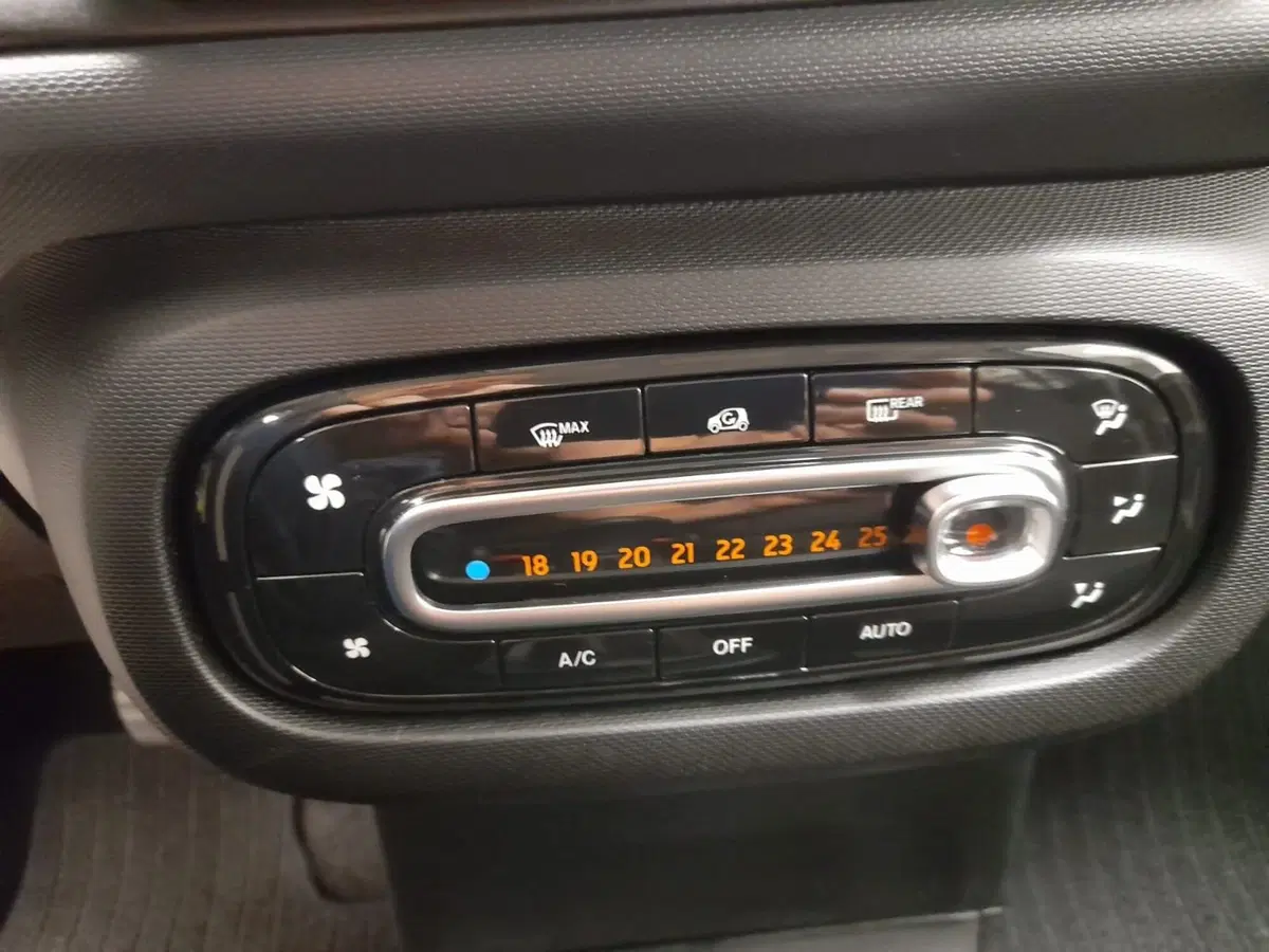 smart forfour usata a Alessandria (12)
