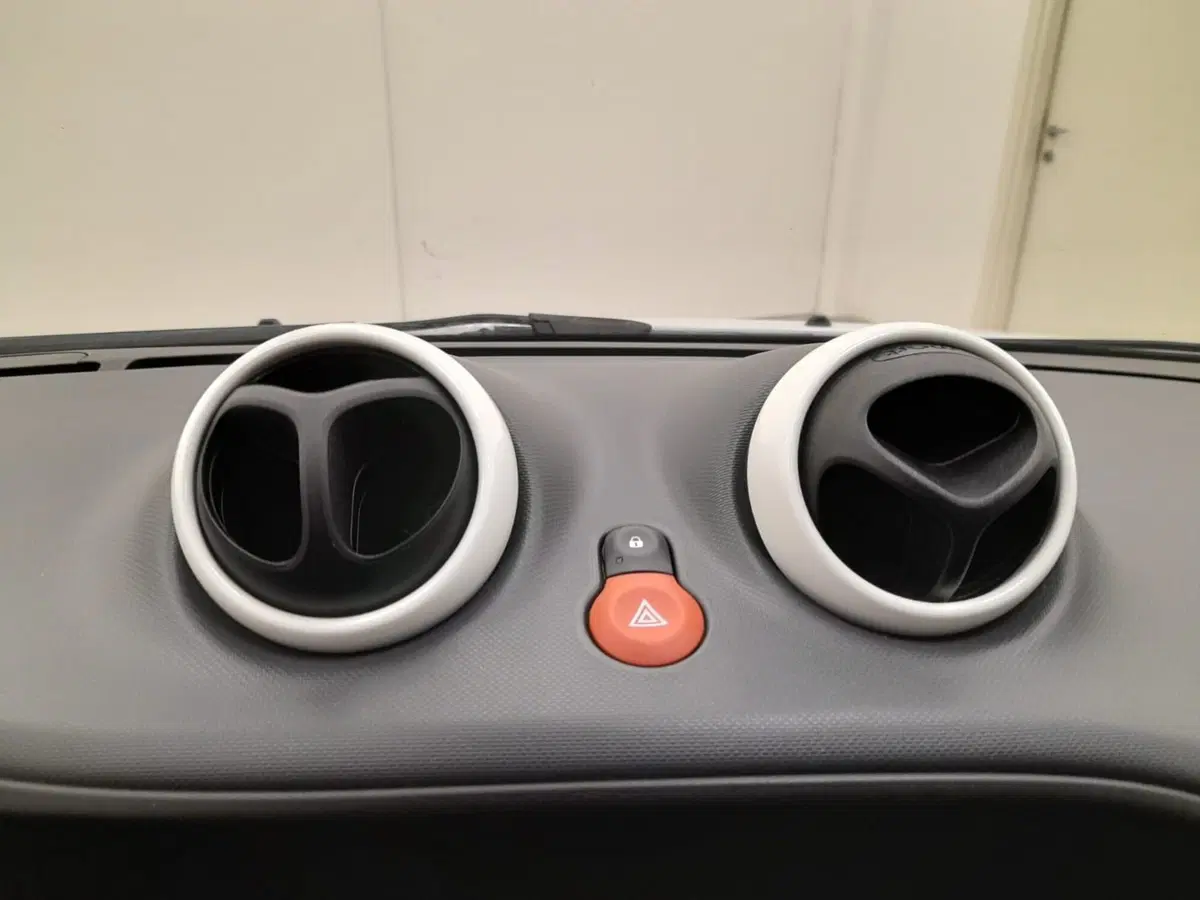 smart forfour usata a Alessandria (16)