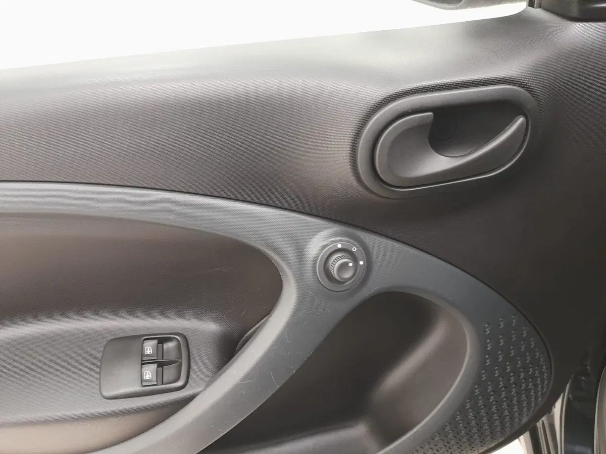 smart forfour usata a Alessandria (18)