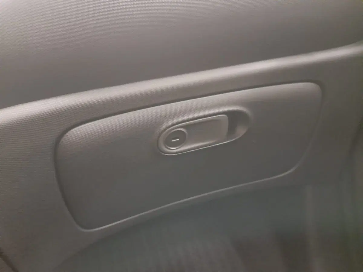 smart forfour usata a Alessandria (19)