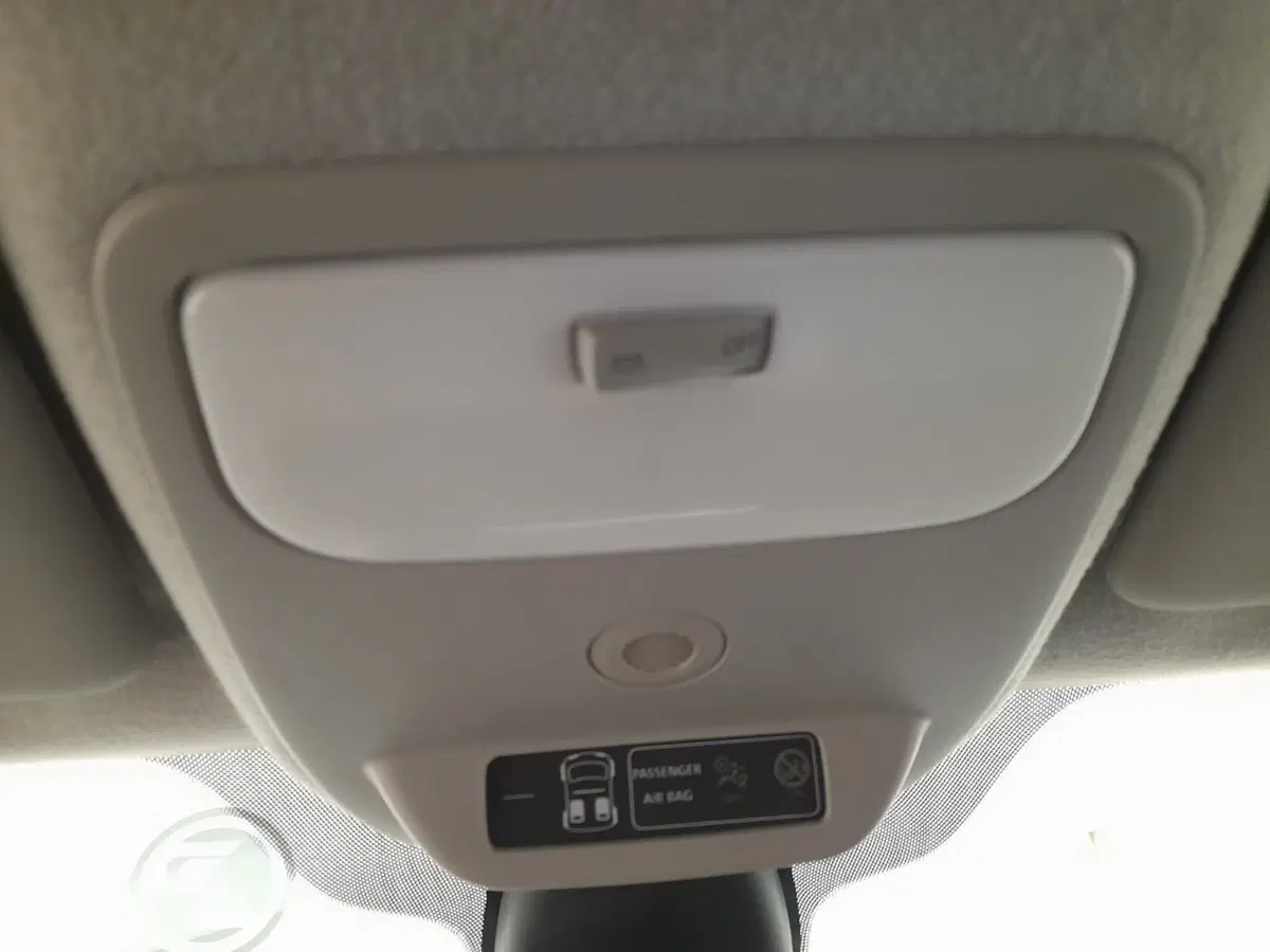 smart forfour usata a Alessandria (20)