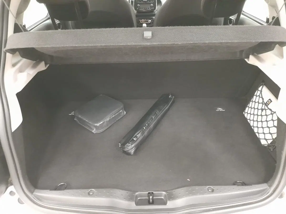 smart forfour usata a Alessandria (8)