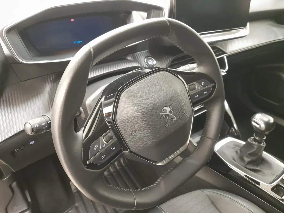 Peugeot 2008 usata a Alessandria (11)