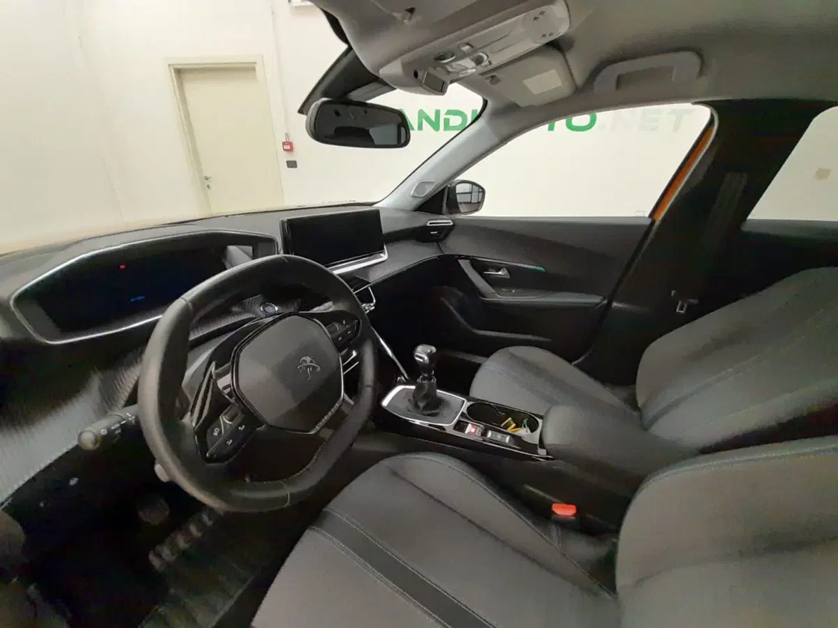 Peugeot 2008 usata a Alessandria (13)