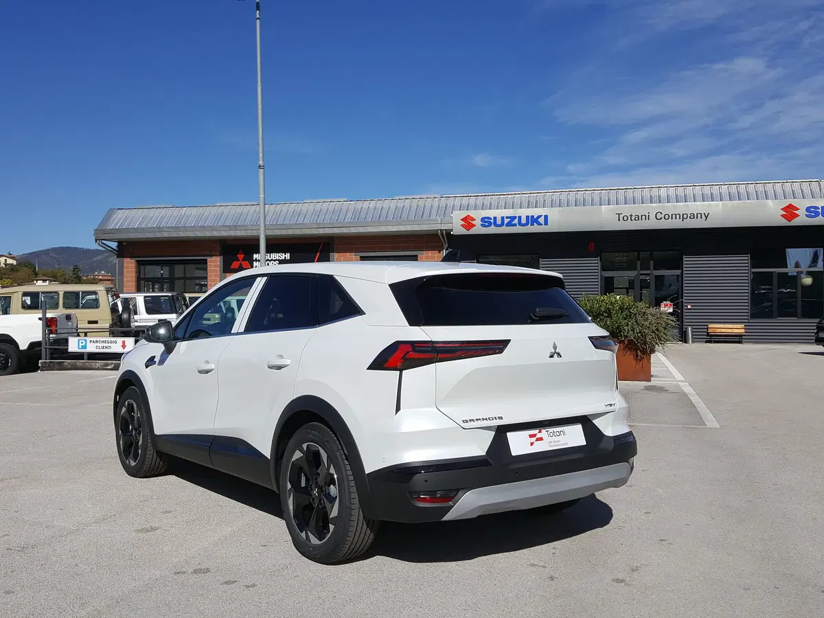Mitsubishi Grandis nuova a L'Aquila (12)