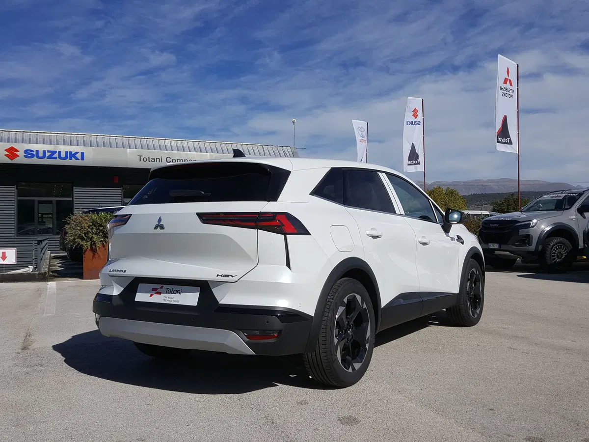 Mitsubishi Grandis nuova a L'Aquila (5)