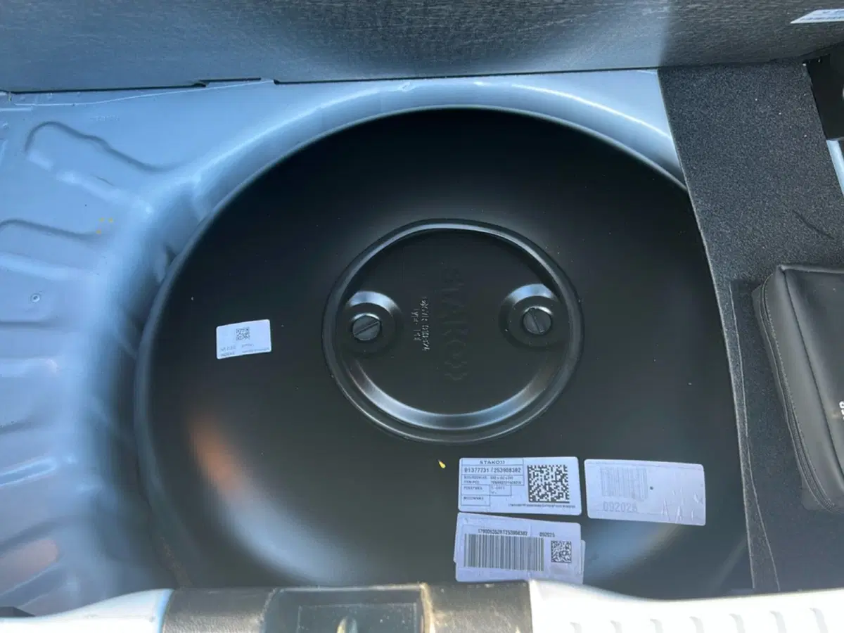 Dacia Sandero Stepway usata a Roma (11)