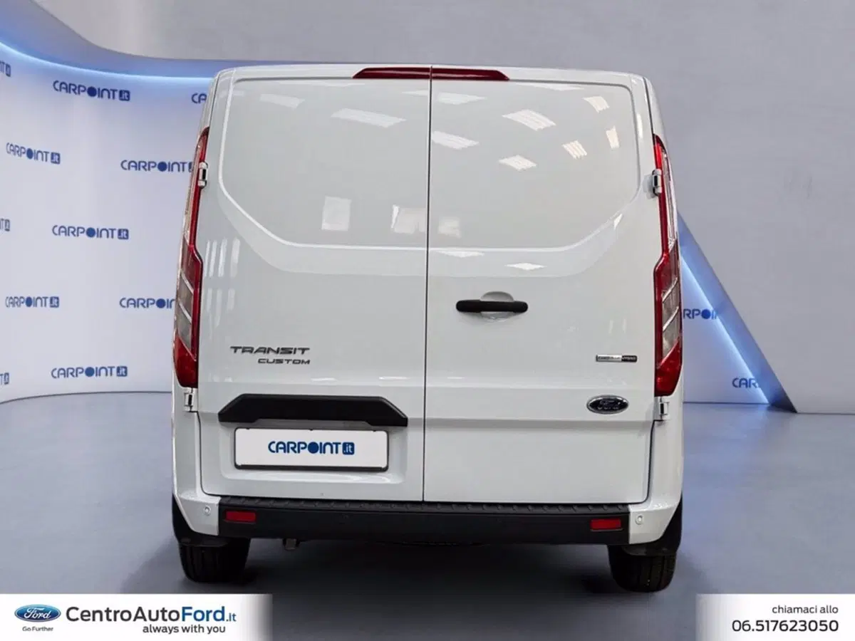 Ford Transit Custom Furgone usata a Roma (4)
