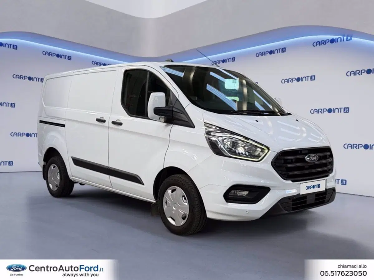 Ford Transit Custom Furgone usata a Roma (7)
