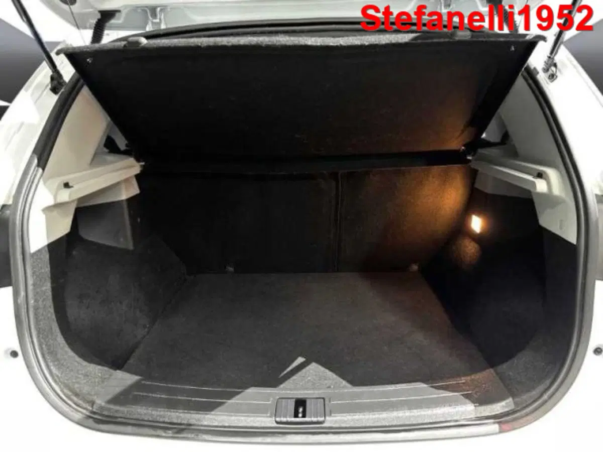 Mg ZS usata a Bologna (7)