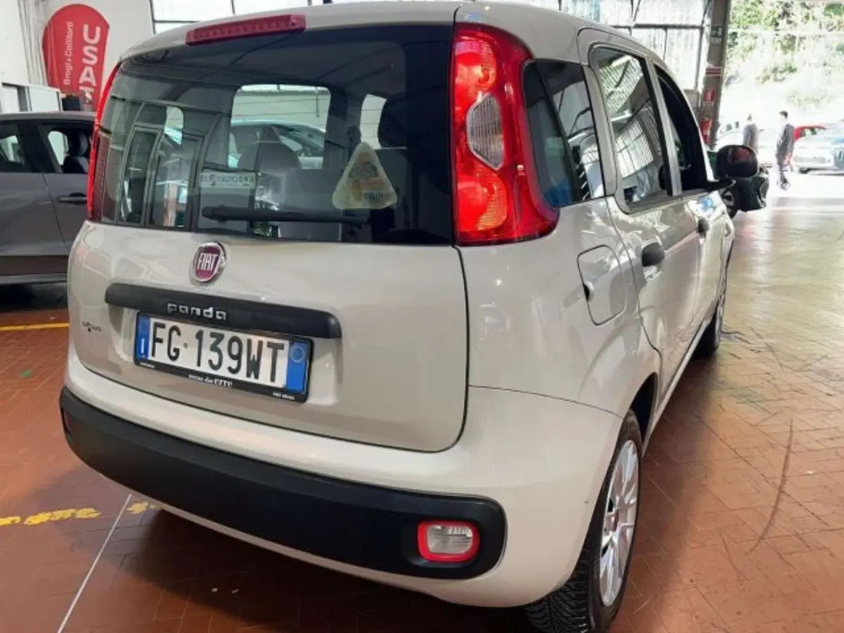 Fiat Panda usata a Firenze (4)
