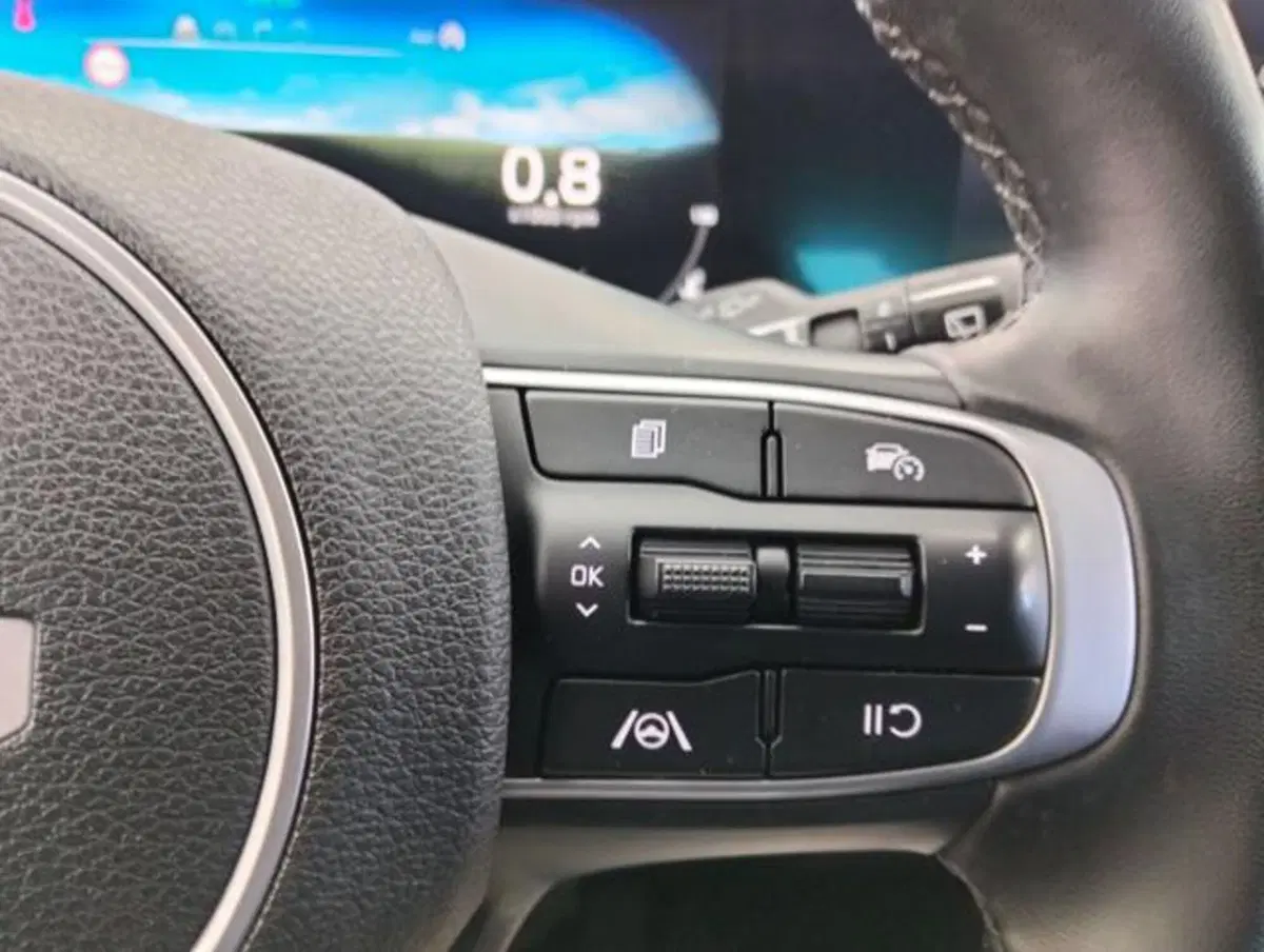 Kia Sportage usata a Como (11)