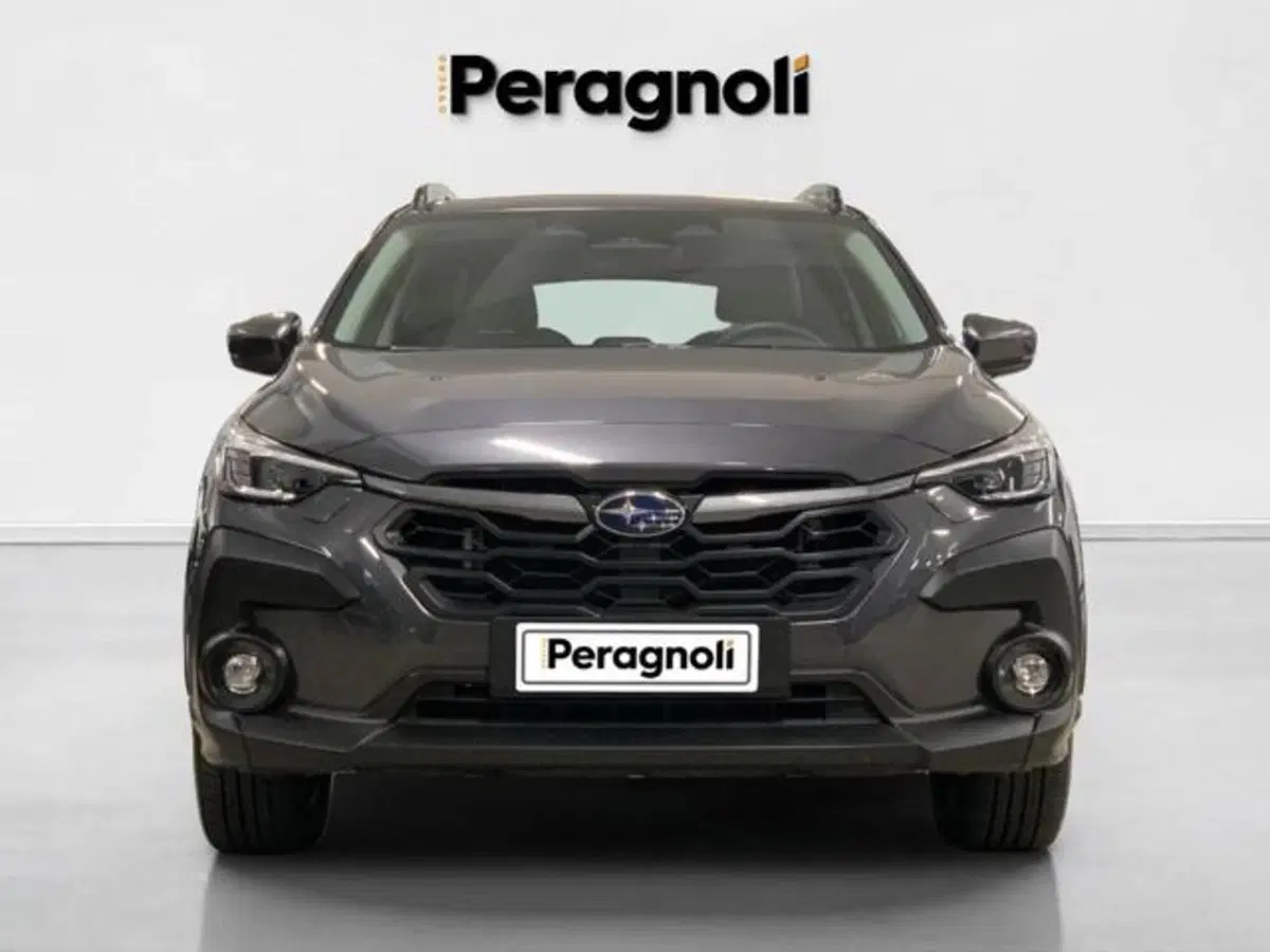 Subaru Crosstrek usata a Firenze (2)