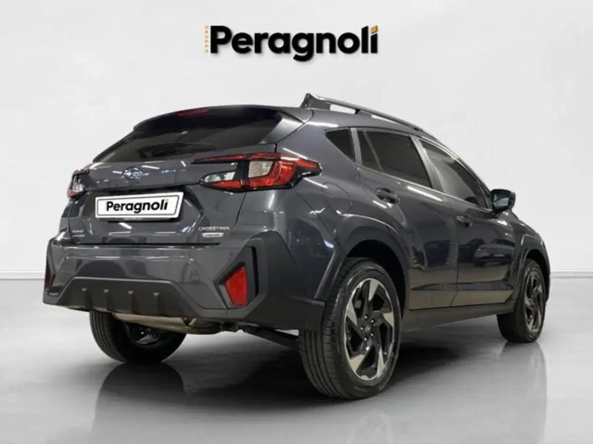 Subaru Crosstrek usata a Firenze (5)
