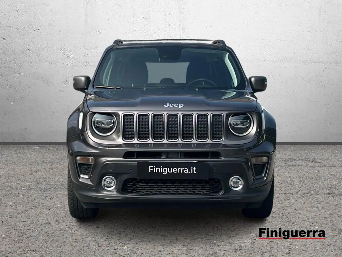 Jeep Renegade usata a Sondrio (2)