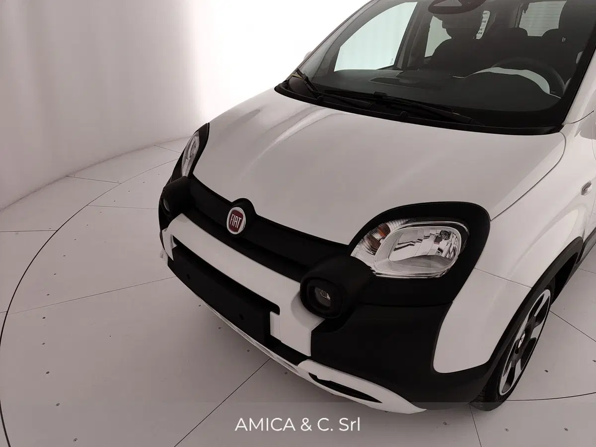 Fiat Pandina nuova a Caserta (11)