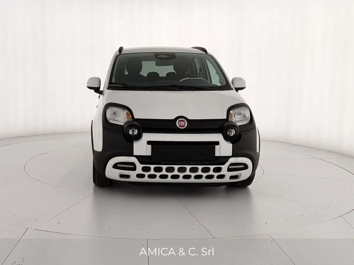 Fiat Pandina nuova a Caserta (2)