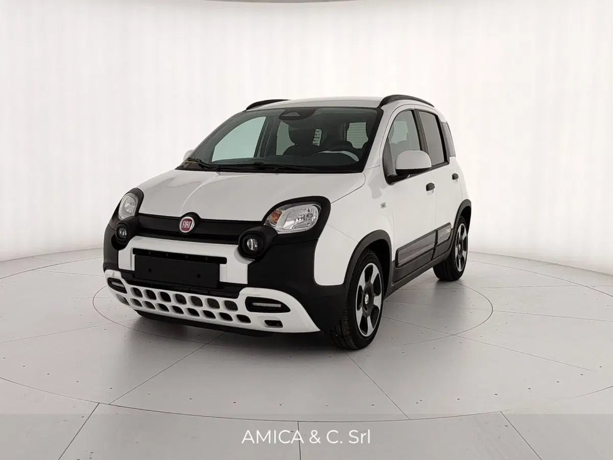 Fiat Pandina nuova a Caserta (3)