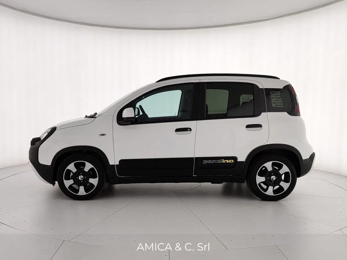 Fiat Pandina nuova a Caserta (4)