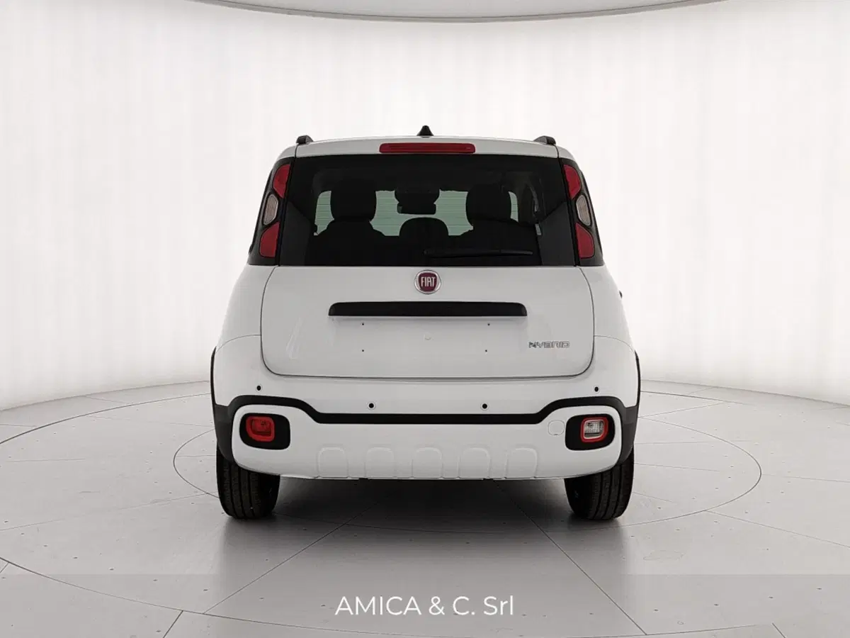 Fiat Pandina nuova a Caserta (6)