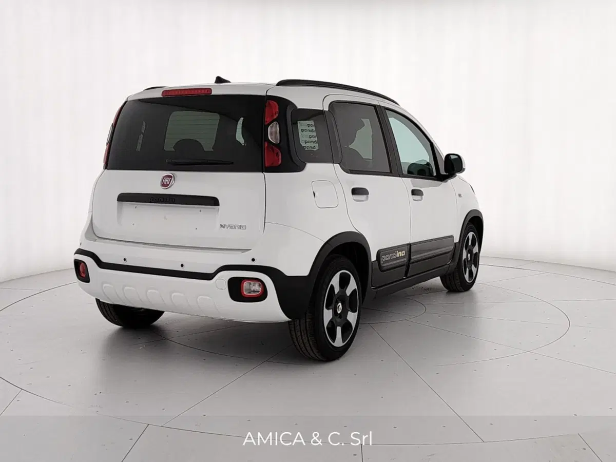 Fiat Pandina nuova a Caserta (7)