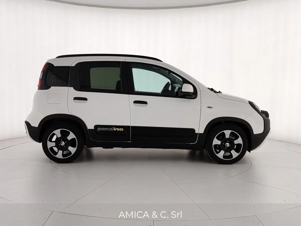 Fiat Pandina nuova a Caserta (8)