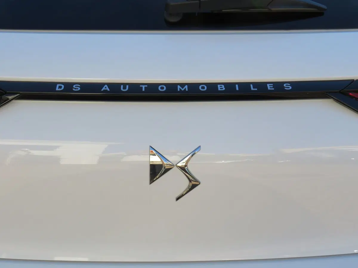 Ds DS 3 usata a Monza e Brianza (10)