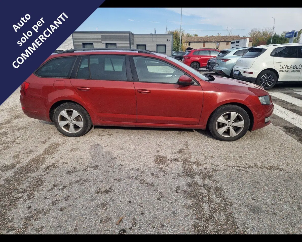 Skoda Octavia Station Wagon usata a Ravenna (4)