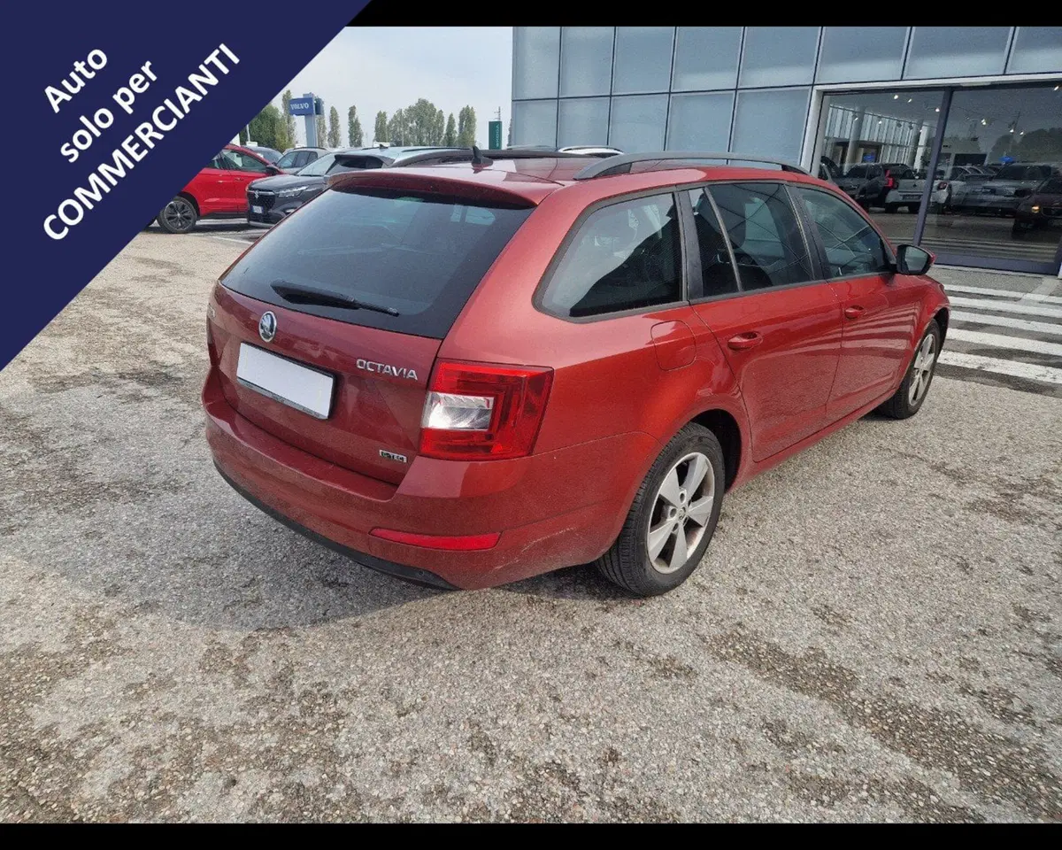Skoda Octavia Station Wagon usata a Ravenna (6)