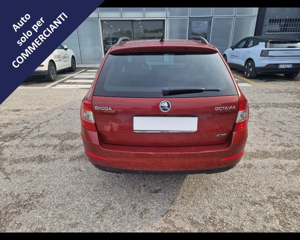 Skoda Octavia Station Wagon usata a Ravenna (7)