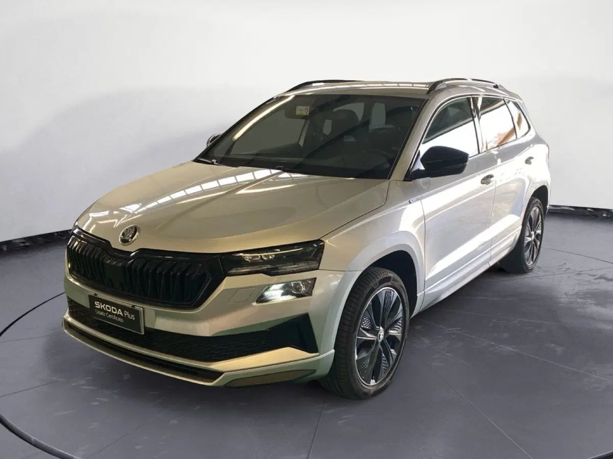 Skoda Karoq usata a Reggio Calabria