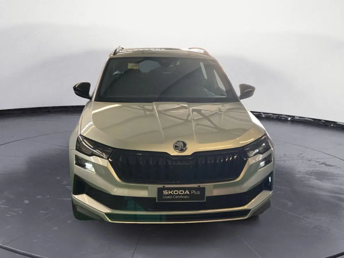 Skoda Karoq usata a Reggio Calabria (2)