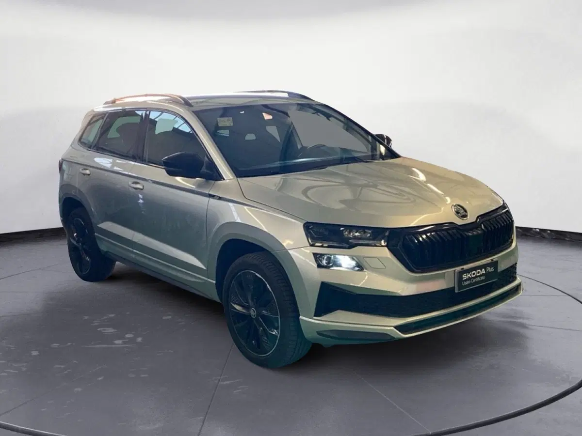 Skoda Karoq usata a Reggio Calabria (3)