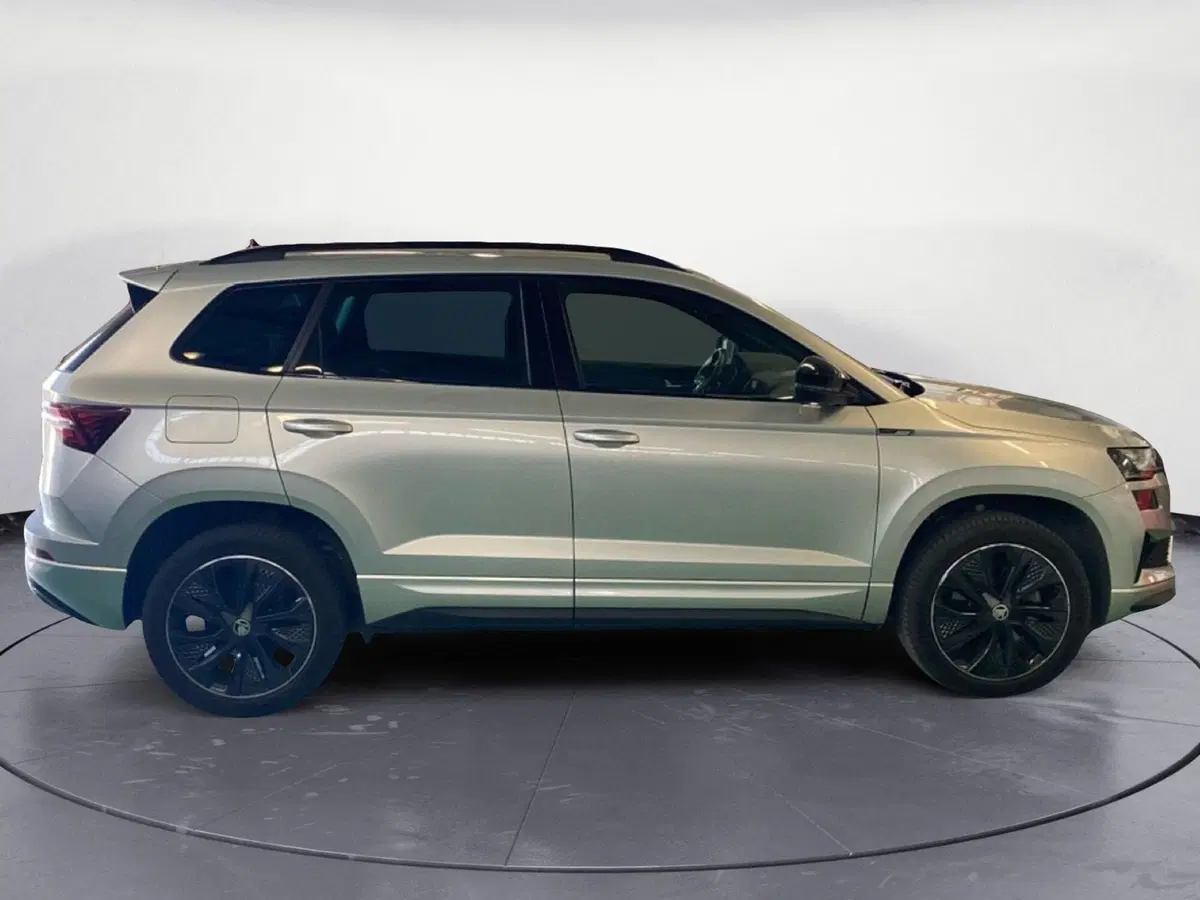 Skoda Karoq usata a Reggio Calabria (4)