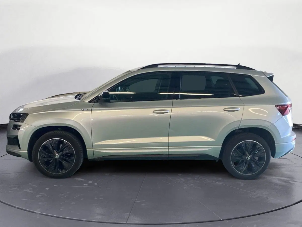 Skoda Karoq usata a Reggio Calabria (8)