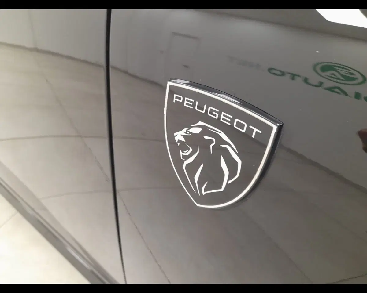 Peugeot 308 SW usata a Alessandria (19)