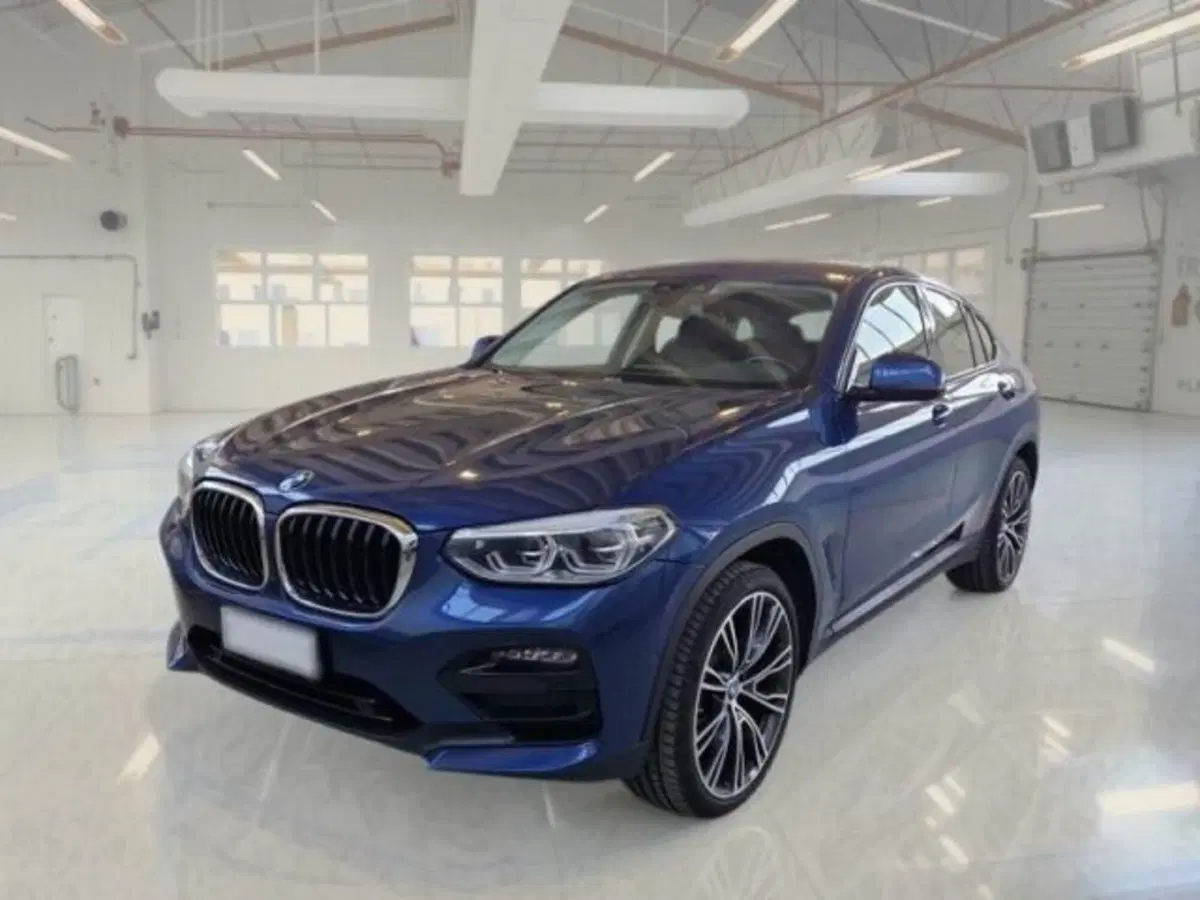 BMW X4 usata a Catania