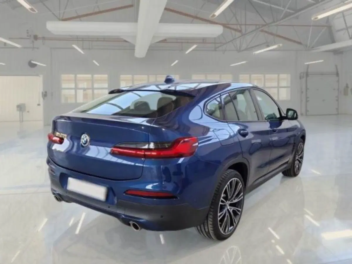 BMW X4 usata a Catania (2)